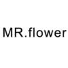 MR.FLOWER