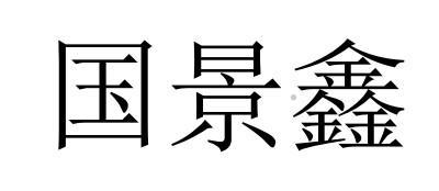 国景鑫logo