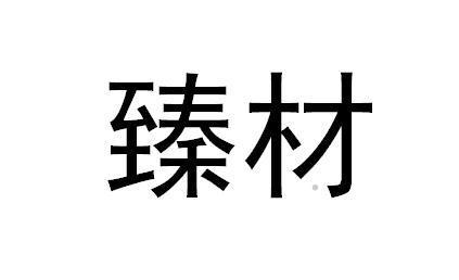 臻材logo
