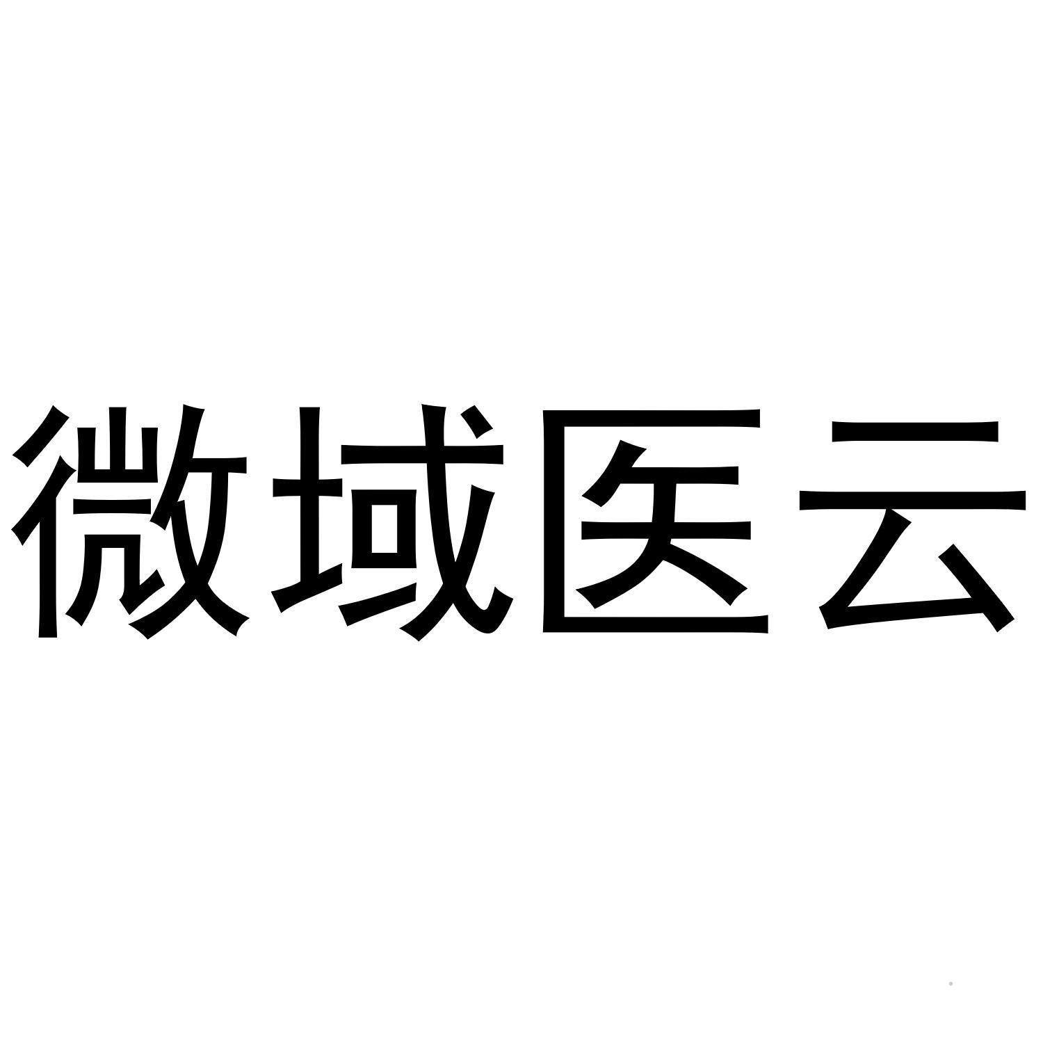 微域医云logo