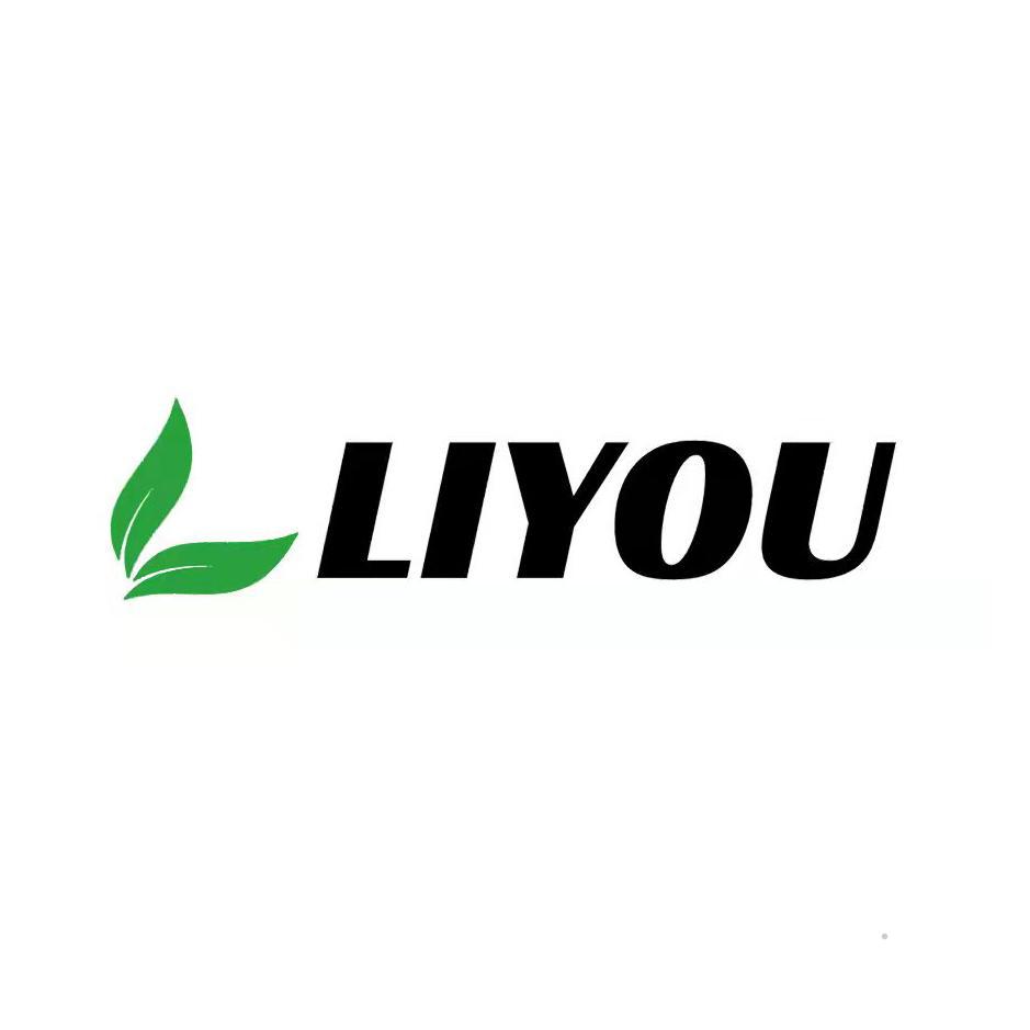 LIYOUlogo