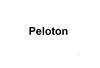 PELOTON运输工具