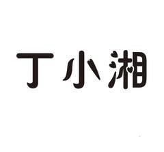 丁小湘logo